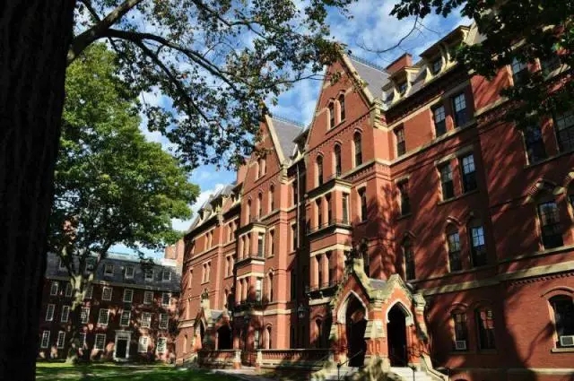 1607393795979745.jpg 640.jpg.jpg